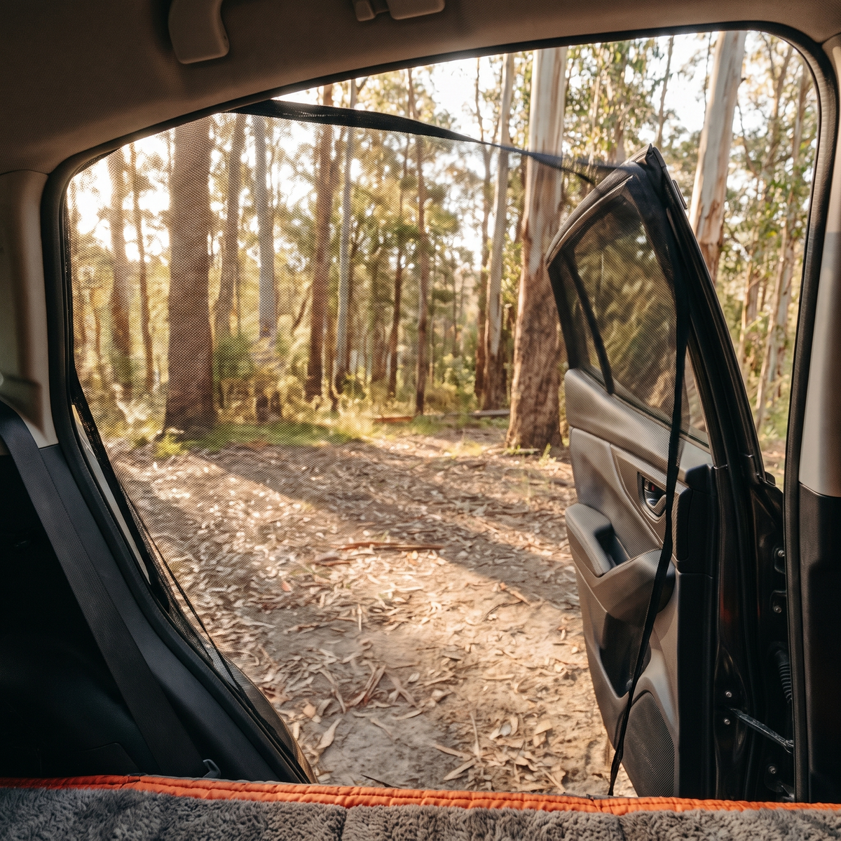 Car Window Mesh Screens – view from inside the car